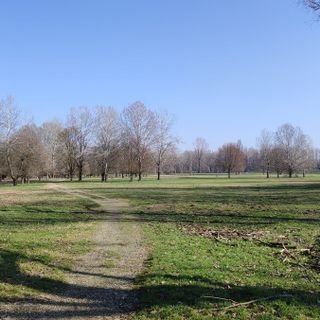 L'area dove dovrebbe sorgere il parco dello sport L'area dove dovrebbe sorgere il parco dello sport