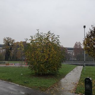 Droni, georadar ed indagine elettromagnetica per trovare buche nascoste al Parco Dora