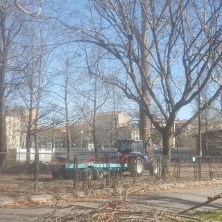 Verde pubblico, 950 mila euro per la messa in sicurezza del parco Michelotti