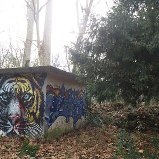 Parco Michelotti: al via i lavori di manutenzione straordinaria e messa in sicurezza dell'area centrale