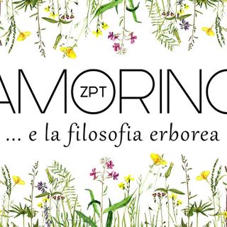 Parrucchiere erboreo certificato, trattamenti di bellezza secondo natura