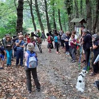 passeggiata nei boschi passeggiata nei boschi