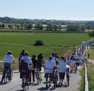 &quot;Aspettando il Tour de France&quot; una Pedalata Ecologia a Carmagnola il 23 giugno