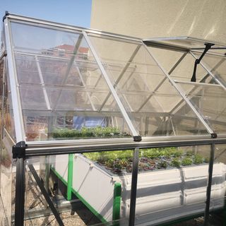 pensiline green