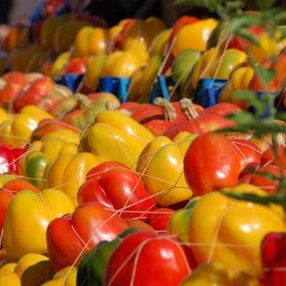 Bollicine e Peperoni: il 13 e 14 settembre a Carmagnola la due giorni dedicata allo shopping eno-gastronomico