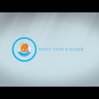 Nichelino, oggi pomeriggio torna la manifestazione &quot;Pesce fuor d'acqua&quot;
