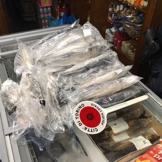 pesce mal conservato