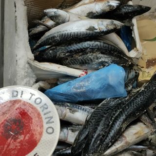 pesce e cibo mal conservato