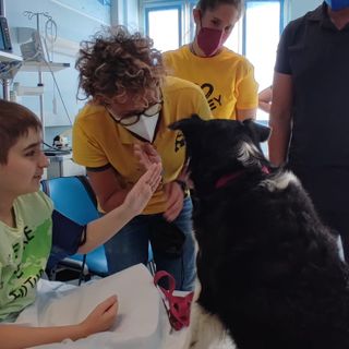 pet therapy