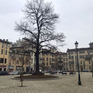 piazza arbarello