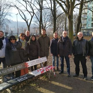 Circoscrizione 7, in arrivo interventi straordinari di manutenzione del verde pubblico