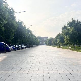Nichelino, il Comune stanzia 200 mila euro per il mercato di piazza Dalla Chiesa