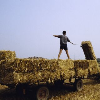 Film in quota, musica e tante mostre: cosa fare a Torino fino a domenica 10 agosto