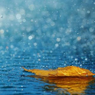 Qualche pioggerellina nel weekend, poi torna il bel tempo con qualche nebbia mattutina