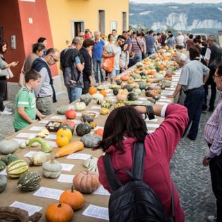 Torna la Fiera Regionale della Zucca di Piozzo, in provincia di Cuneo