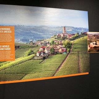 A Priocca (CN) è stato inaugurato il nuovissimo Wine Experience, un percorso esperienziale e interattivo per scoprire il mondo affascinante del vino