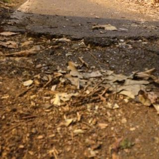 Ciclisti costretti a peripezie alla Indiana Jones (fotogallery)