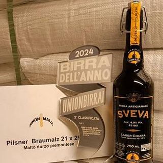 La &quot;Sveva&quot; del birrificio Plato premiata tra le migliori birre chiare a bassa fermentazione