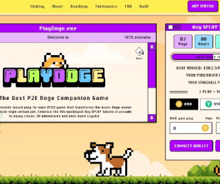 Come acquistare PlayDoge: la guida passo dopo passo