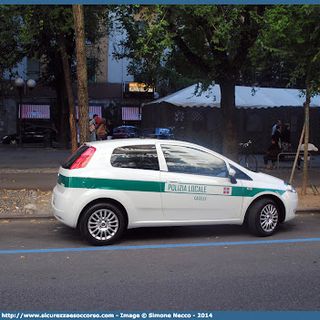 auto polizia locale di caselle