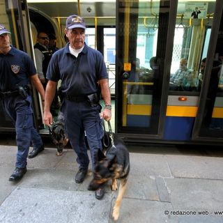 Viaggiavano senza biglietto, in 53 sanzionati da vigili urbani e personale Gtt