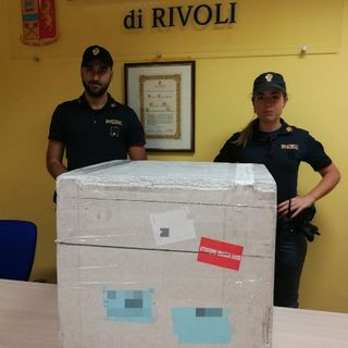 Rivoli, ritrovati 19 kit nuovi per tamponi Covid-19