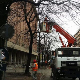 Da lunedì la potatura degli alberi di corso Telesio