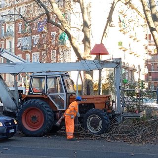 Largo Giulio Cesare tra spaccio e scarsa illuminazione: al via le potature degli alberi