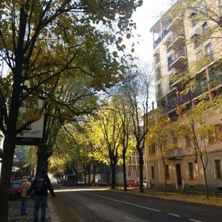 La richiesta di Coldiretti Piemonte: &quot;incrementare il verde nelle città piemontesi contro caldo e smog”