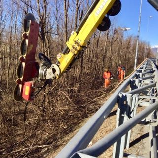 Piemonte, Anas: avviata la potatura delle alberature lungo il raccordo Torino-Caselle