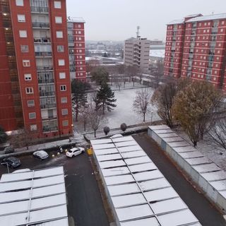 neve