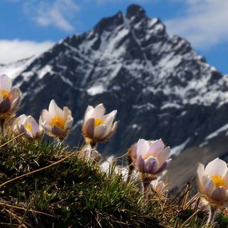 Gli eventi in calendario a Bardonecchia