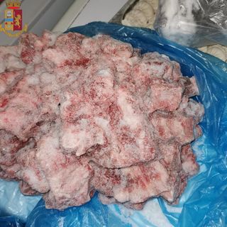 Blitz nei locali di San Salvario: la polizia sequestra oltre 220 kg di cibo mal conservato. Sanzioni per 40mila euro