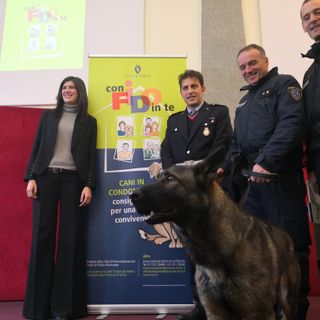 Due e quattro zampe a scuola di &quot;bon ton&quot; dalla Municipale di Torino (VIDEO)