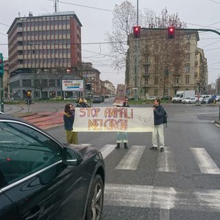 protesta in strada