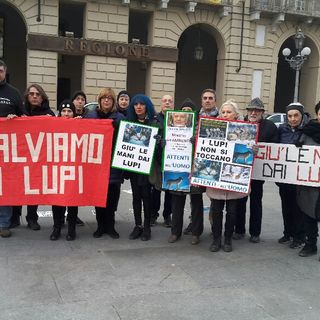 Gli animalisti torinesi in difesa dei lupi (FOTO)