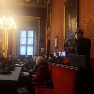 protesta silvio viale