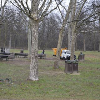 Servizi di spazzamento e pulizia dei giardini di Nichelino, il punto di Covar14