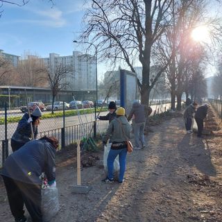 I volontari puliscono l'area cani di corso Cosenza