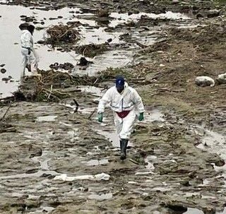 &quot;Trashchallenge – Operazione Po”, sabato un'iniziativa di ripulitura speciale delle sponde del fiume