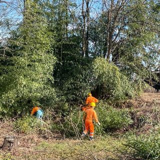 lavori di pulizia al Villaretto