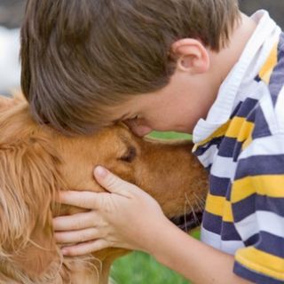&quot;Qua la zampa!&quot;, la nuova attività di dog-therapy lanciata dalla Casa del Teatro Ragazzi e Giovani