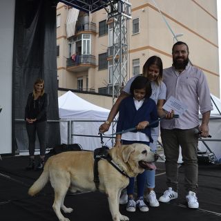 Successo per le "Quattro zampe in passerella" a Nichelino Successo per le "Quattro zampe in passerella" a Nichelino