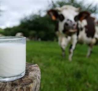 &quot;Tavolo latte: le parole non bastano, servono aperture e fatti concreti&quot;