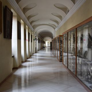 sale del real collegio carlo alberto