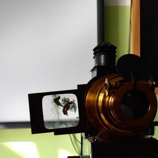 Esercizi sul pre-cinema: mercoledì la presentazione dei progetti degli studenti delle scuole Tommaseo Calvino e Verdi