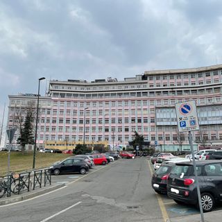 regina margherita