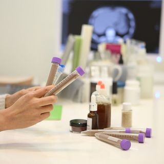 Dalla Tunisia all'Università di Torino: il progetto per migliorare la formazione dei biotecnologi
