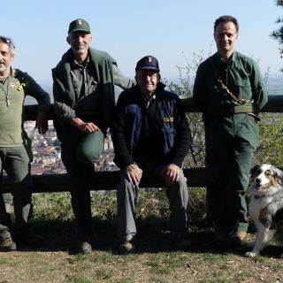Caccia ai bocconi avvelenati nel parco del Monte San Giorgio