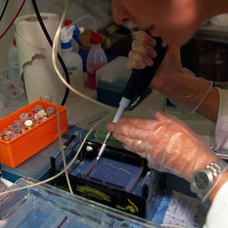 Italia ed innovazione tecnologica, un binomio che porta crescita per imprese e cittadini